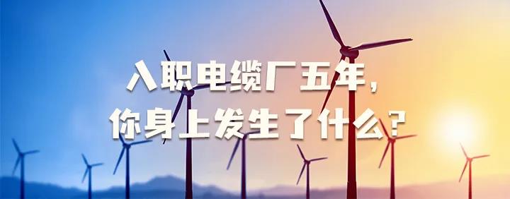 入職電纜廠(chǎng)五年，你身上發(fā)生了哪些變化~